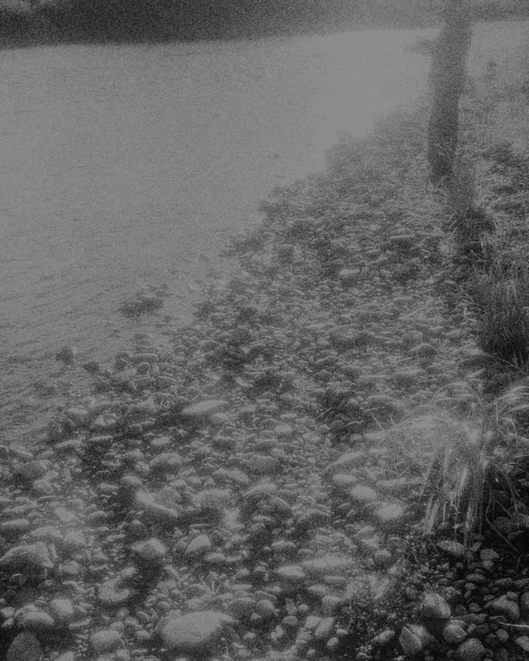 Stones along a riverbank, light spilling over them