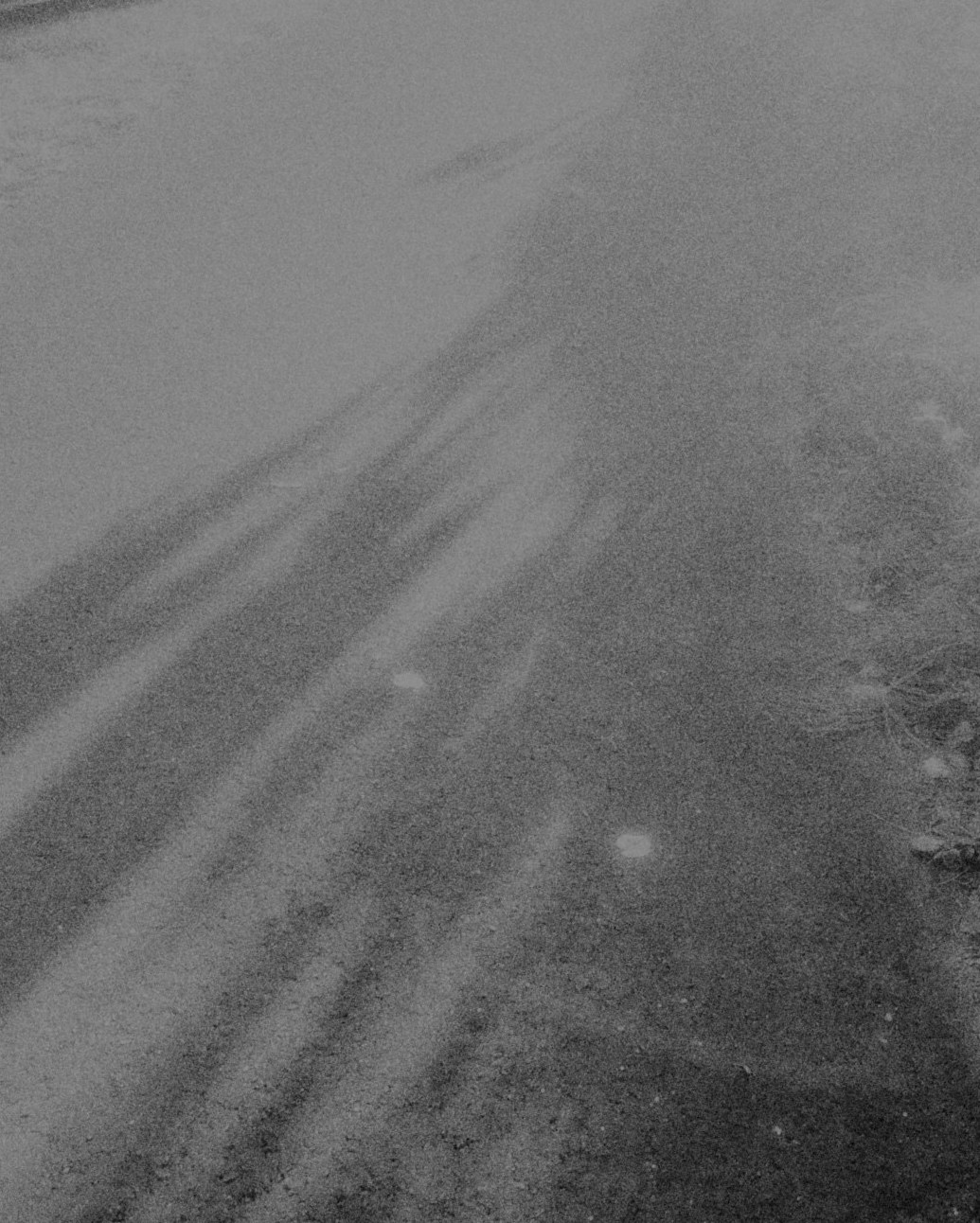A road with light falling across it in long bands